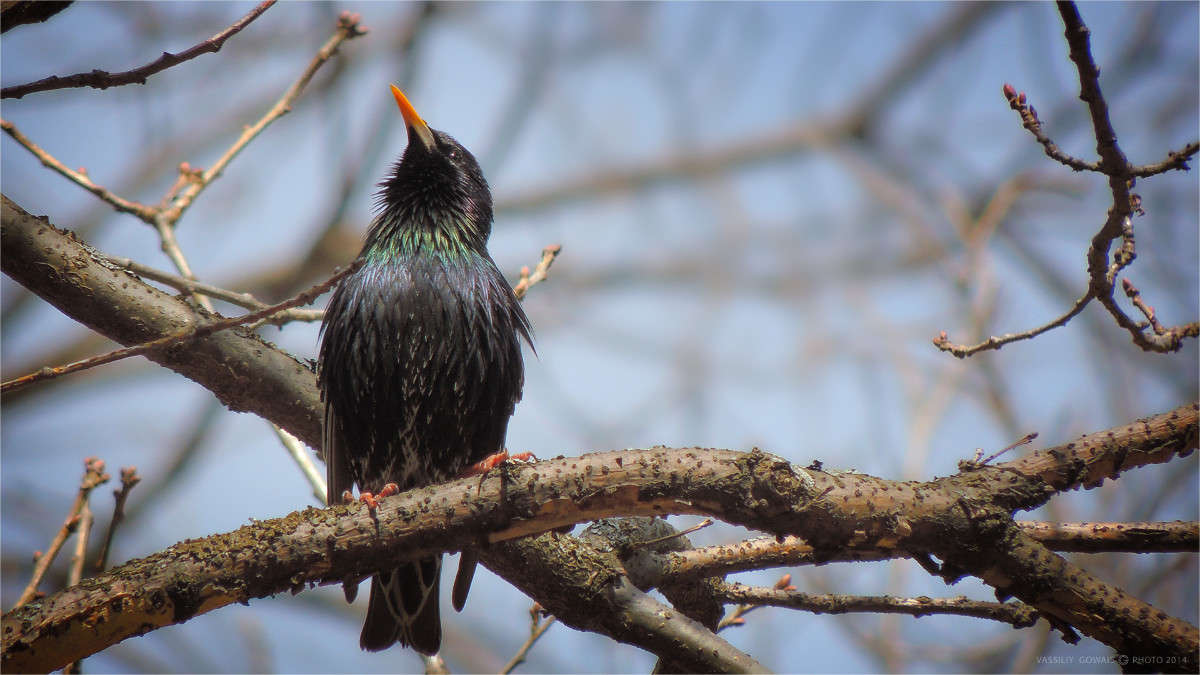 ... ����� �������  �� PhotoGeek.ru