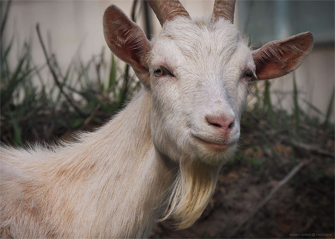 ��������! ����� �������  �� PhotoGeek.ru #�������� ���