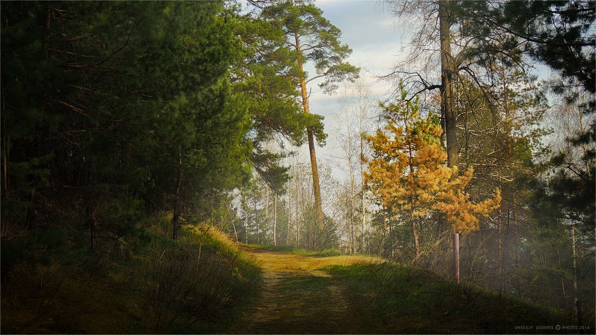 ����� ����� �������  �� PhotoGeek.ru #������ ��� �������