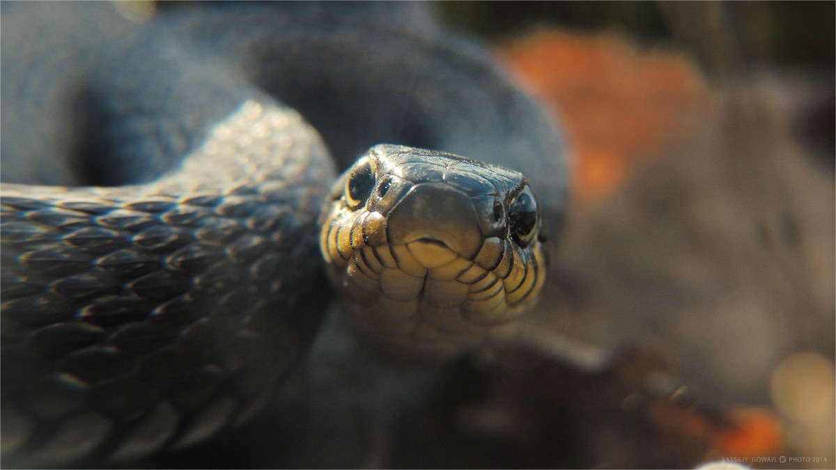 �� ����� �������  �� PhotoGeek.ru #�������� ���