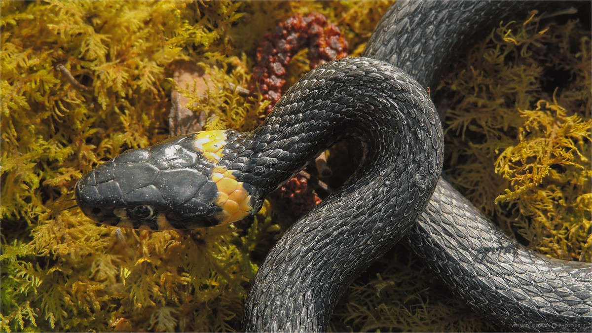 �� ����� �������  �� PhotoGeek.ru #�������� ���