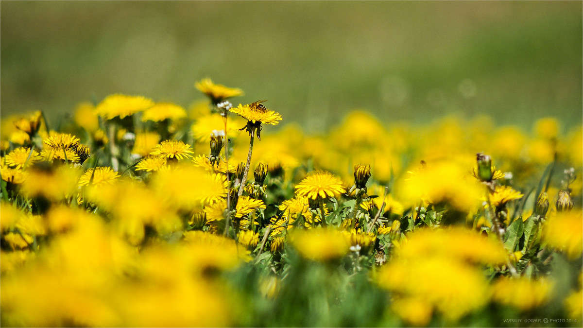 ���������� ����� �������  �� PhotoGeek.ru #������ ��� �������