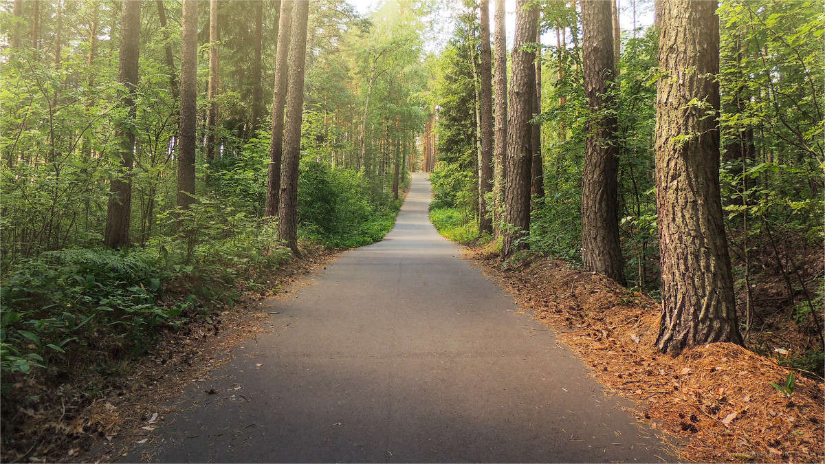 ����� ����� �������  �� PhotoGeek.ru #������ ��� �������