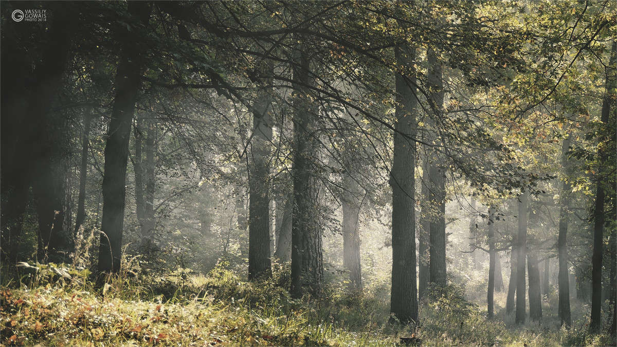 ��������� ����� �������  �� PhotoGeek.ru #������ ��� �������