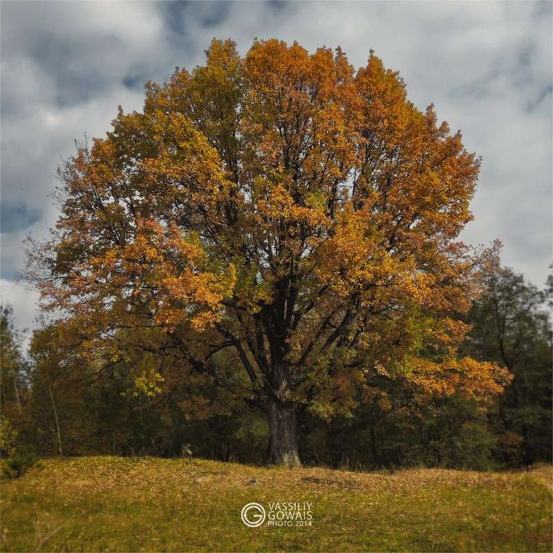 ��� ����� �������  �� PhotoGeek.ru #������ ��� �������