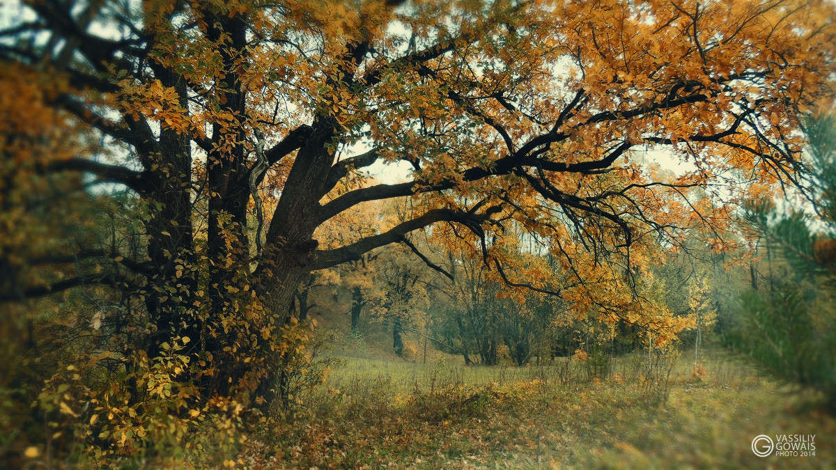 ��� ����� �������  �� PhotoGeek.ru #������ ��� �������