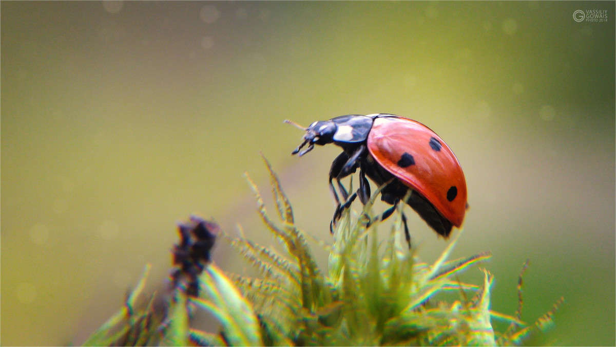 ... ����� �������  �� PhotoGeek.ru #�����