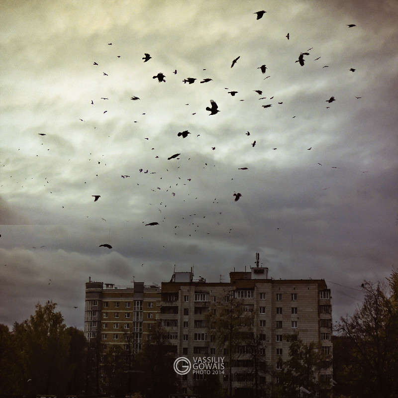 ������� ����� �������  �� PhotoGeek.ru #�����