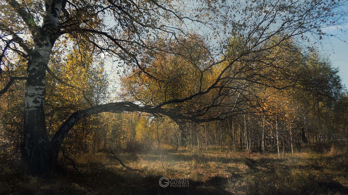 ������ ����� �������  �� PhotoGeek.ru #������ ��� �������