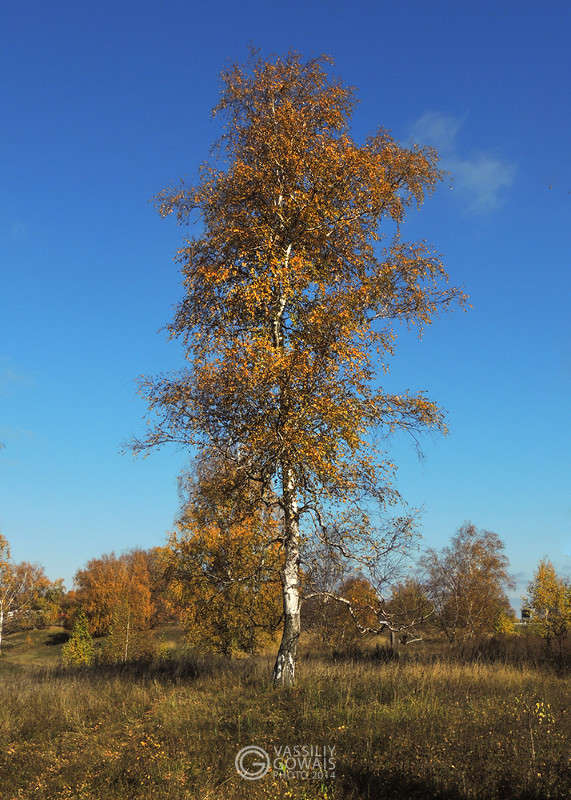 ��������� ����� �������  �� PhotoGeek.ru #������ ��� ������� #����� ��������������