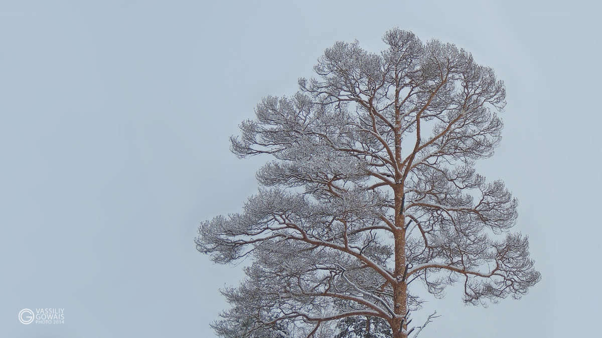 � ���� ����� �������  �� PhotoGeek.ru #������ ��� �������