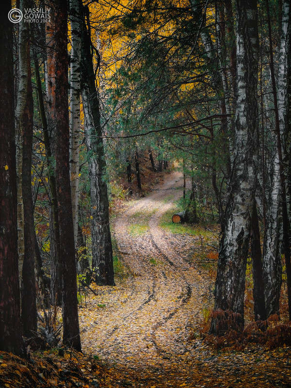 ������ ��� ����� �������  �� PhotoGeek.ru #������ ��� �������