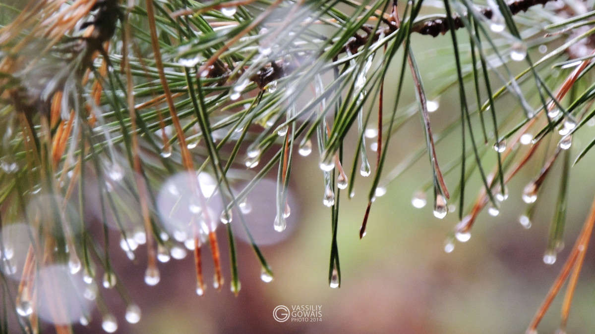 ��� ������ ����� �������  �� PhotoGeek.ru #������ ��� �������