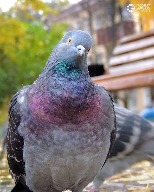 ������ ����� �������  �� PhotoGeek.ru #�������� ���