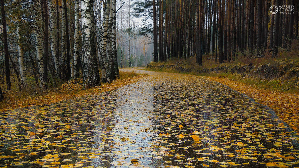 ��� ������ ����� �������  �� PhotoGeek.ru #������ ��� �������