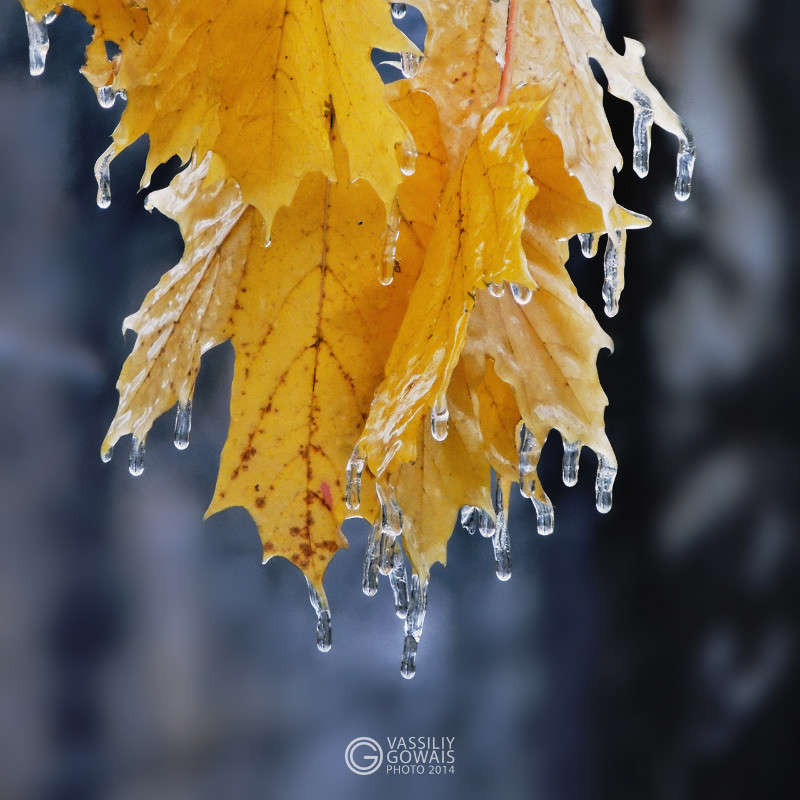 ������� ����� ����� �������  �� PhotoGeek.ru #������ ��� �������