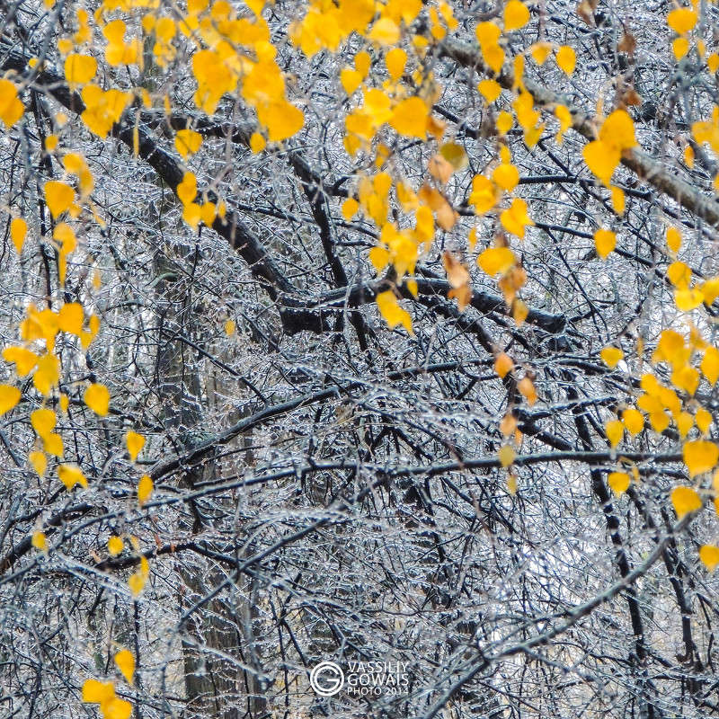 ������� ����� ����� �������  �� PhotoGeek.ru #������ ��� �������