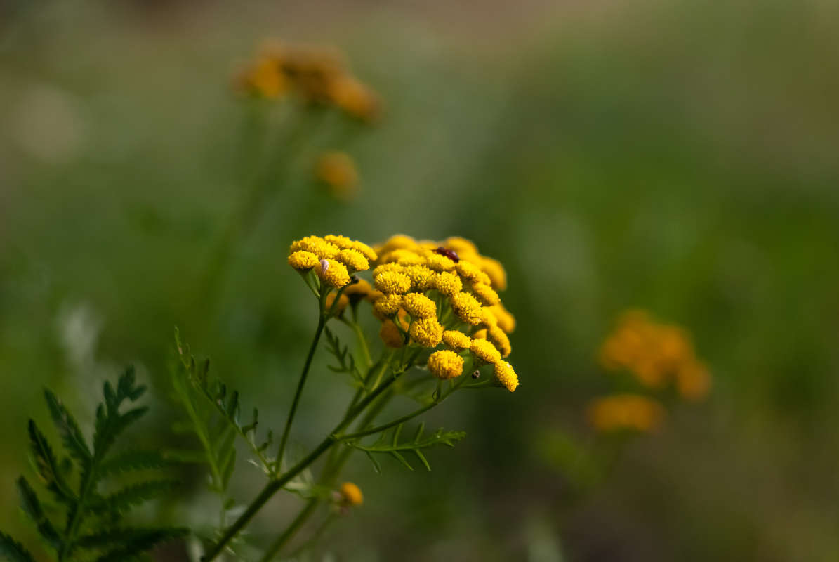 ... ����� ������� ���������� �� PhotoGeek.ru #������ ��� �������