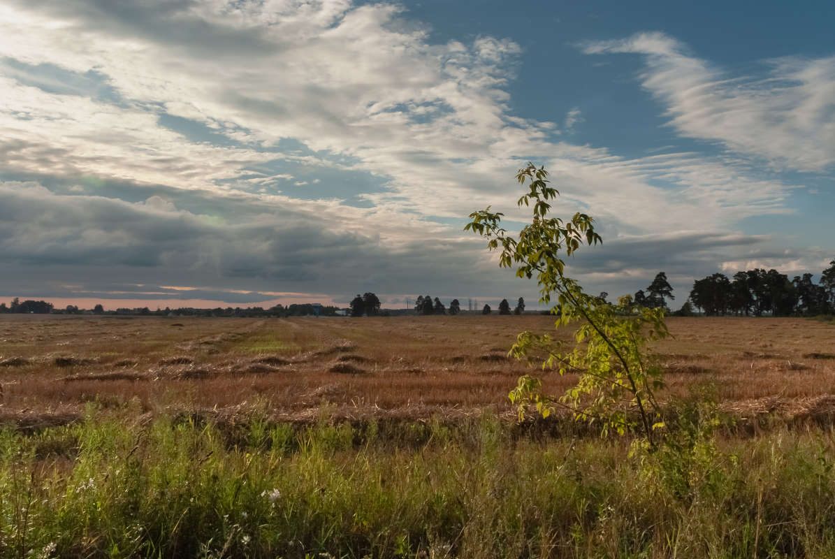 ... ����� ������� ���������� �� PhotoGeek.ru #������ ��� �������