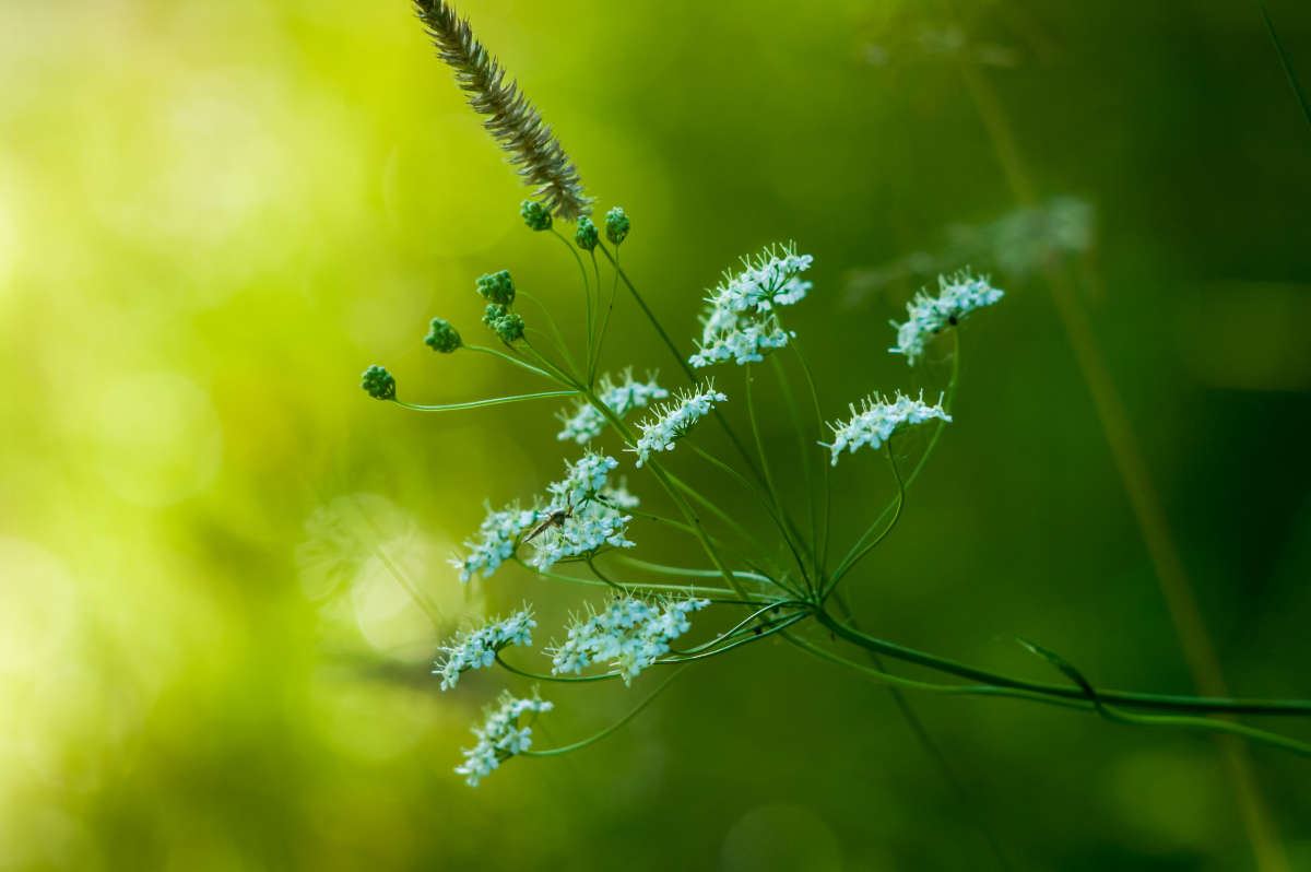 ... ����� ������� ���������� �� PhotoGeek.ru #������ ��� �������