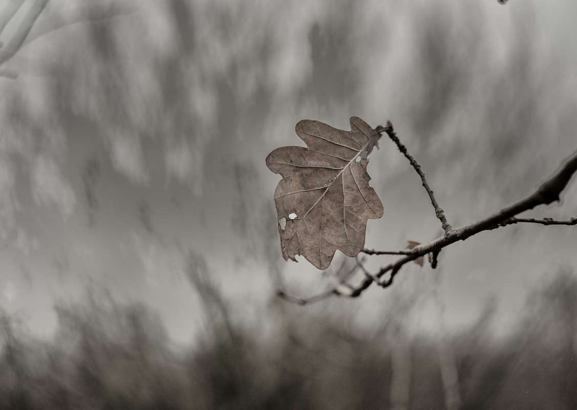 ... ����� ������� ���������� �� PhotoGeek.ru #������ ��� ������� #�����-�����