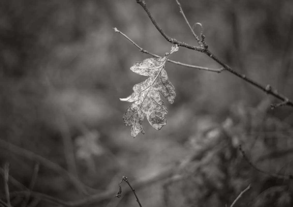 ... ����� ������� ���������� �� PhotoGeek.ru #������ ��� ������� #�����-�����