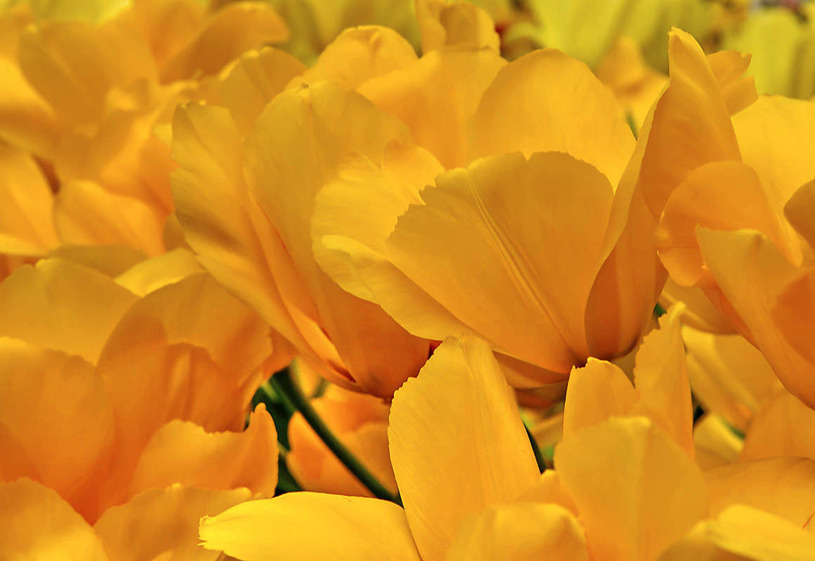 ... ����� Vasiliy  �� PhotoGeek.ru #������ ��� �������