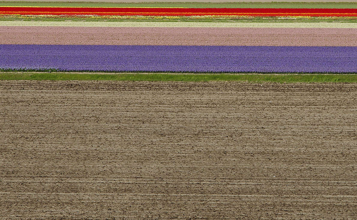 ���������� ����� Vasiliy  �� PhotoGeek.ru #������ ��� �������