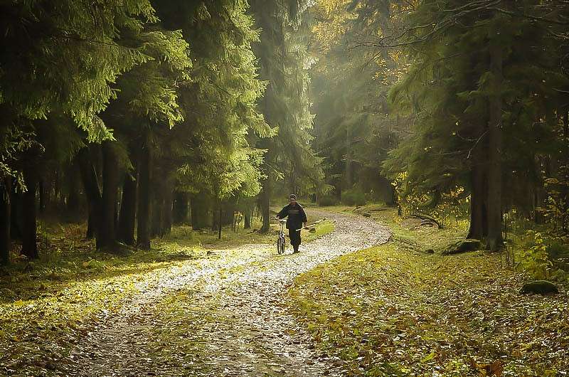 �������� ��������� ������������� ����� Vasiliy  �� PhotoGeek.ru #������ ��� �������