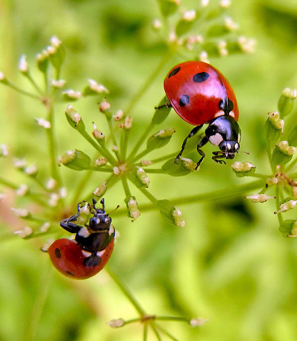 �������� ��� ������� ����� Vasiliy  �� PhotoGeek.ru #�����