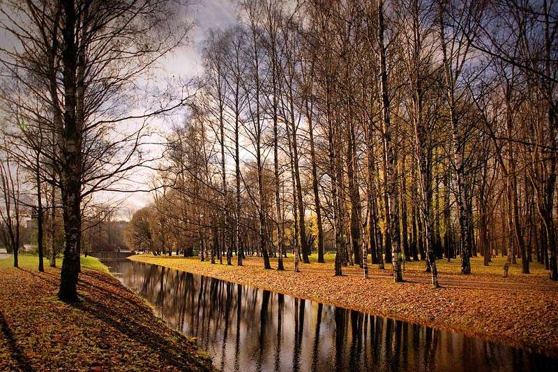 ������� ���� ����� Vasiliy  �� PhotoGeek.ru #������ ��� �������