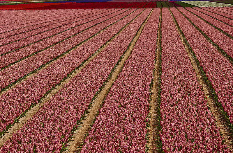 ��������� ���� ����� Vasiliy  �� PhotoGeek.ru #������ ��� �������